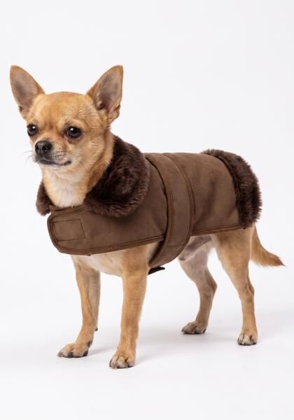 Lammfell Hundemantel mit Klettverschluss Modell 2