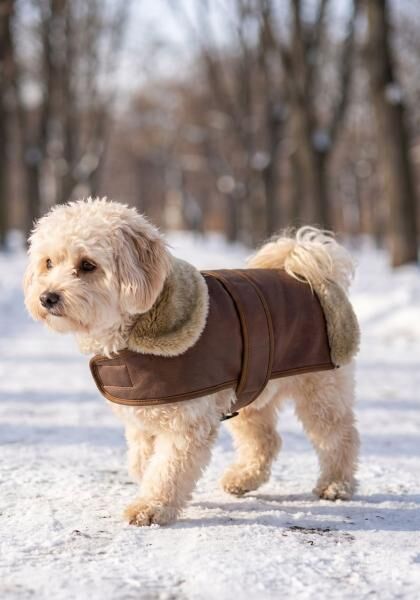 Lammfell Hundemantel mit Klettverschluss Modell 13