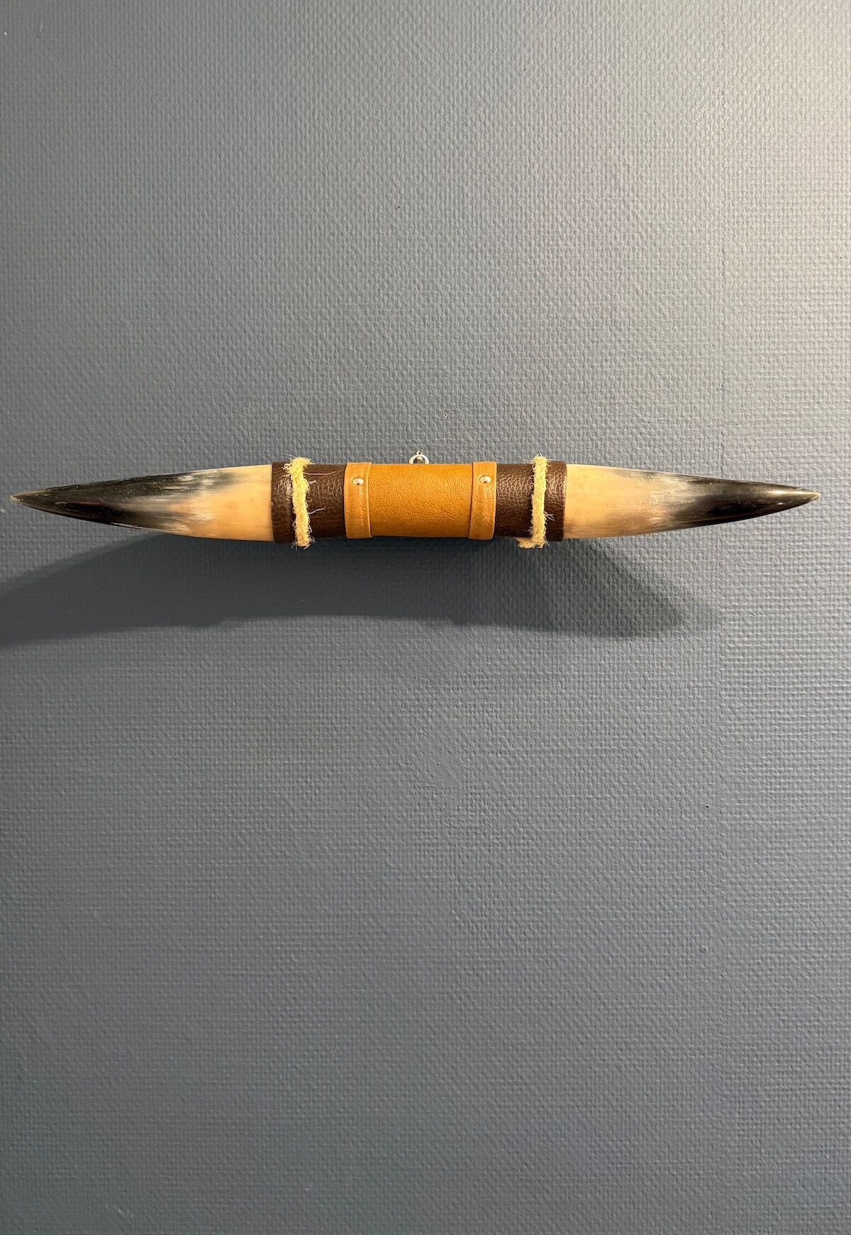 Bullenhorn Wandobjekt Modell 7 - Naturhorn Einzelstück mit Leder & Holzhalterung