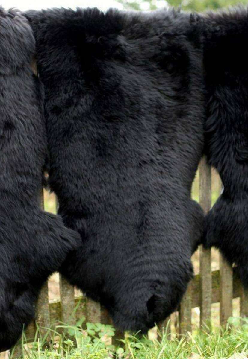 Hochwertige Felle online kaufen bei Der Fellmann