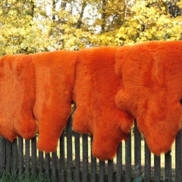 Lambskin Merino - ORANGE