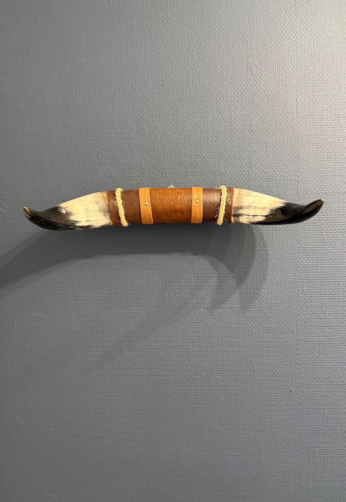 Bullenhorn Wandobjekt Modell 9 - Naturhorn Einzelstück mit Leder & Holzhalterung