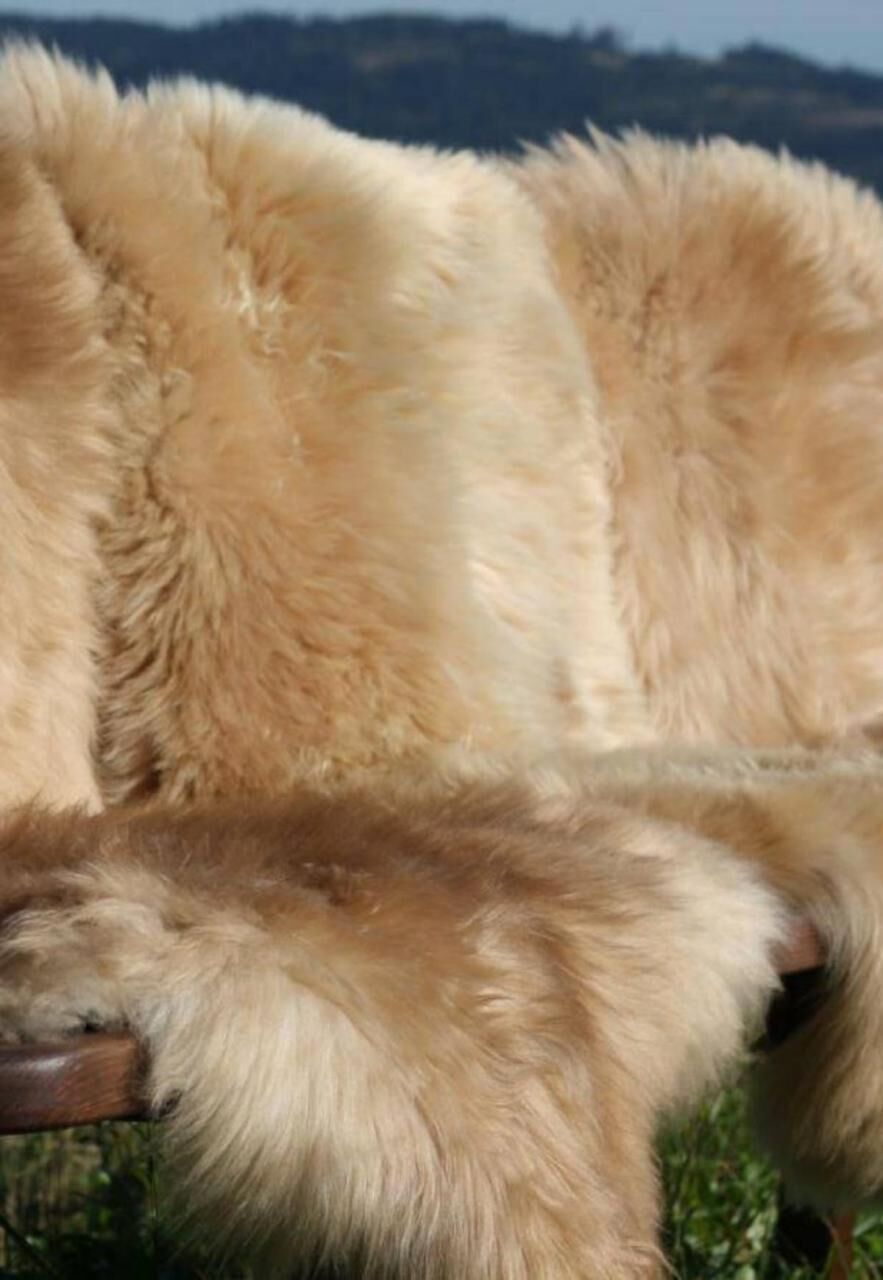 Lammfell Coburger Fuchsschaf - Farbe: Hellbraun | Größe: 130-140