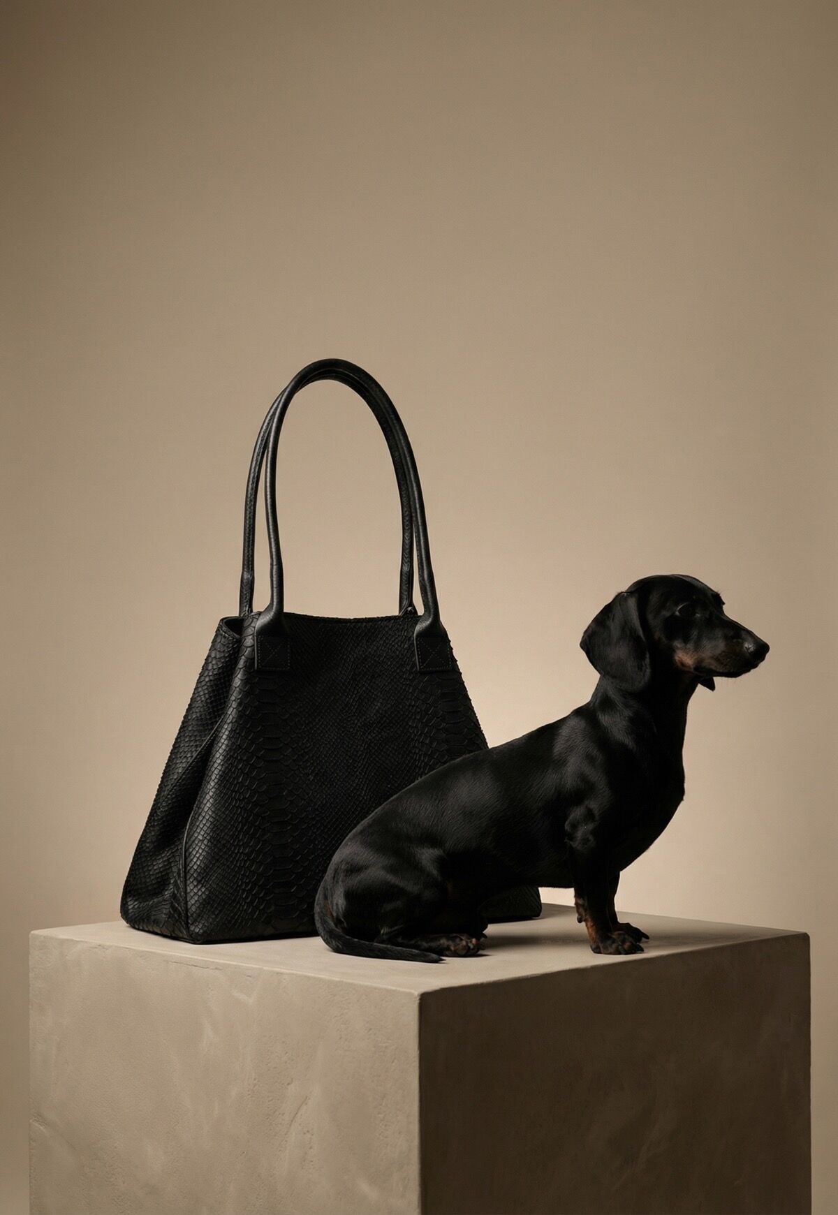 Damen Shopper aus Veloursleder mit Kroko-Prägung in Schwarz