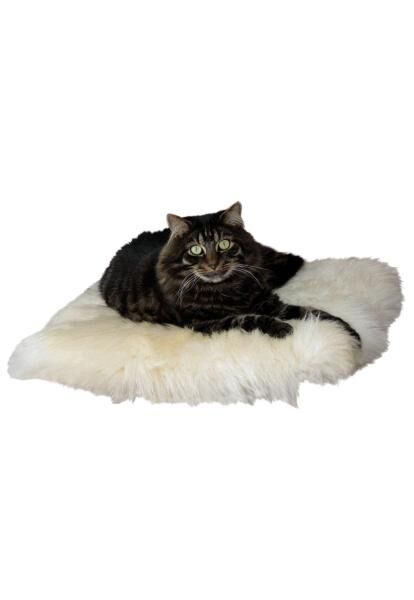 Lambskin - Cat Cushion