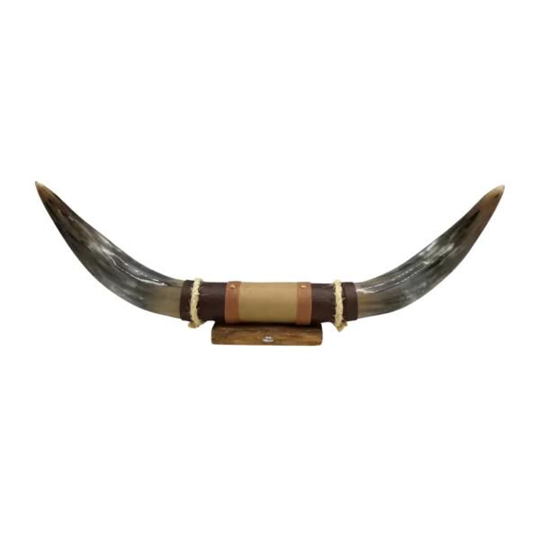 Bullenhorn Wandobjekt Modell 4 - Naturhorn Einzelstück mit Leder & Holzhalterung