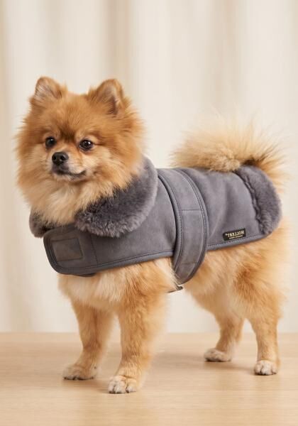 Lammfell Hundemantel mit Klettverschluss Modell 11