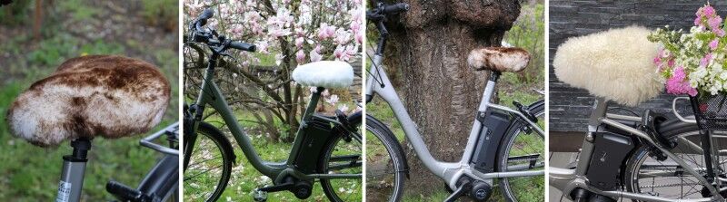 fixie fixed gear bike the Single Speed / Fixed Gear main image 0