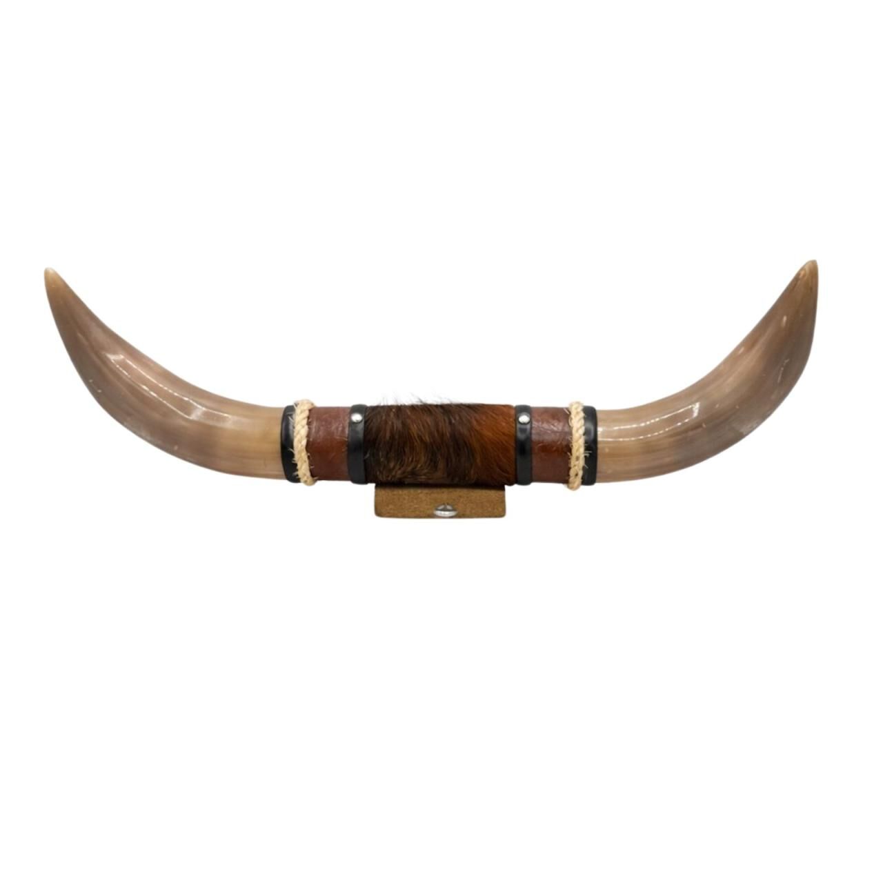 Bullenhorn Wandobjekt Modell 10 - Naturhorn Einzelstück m... -