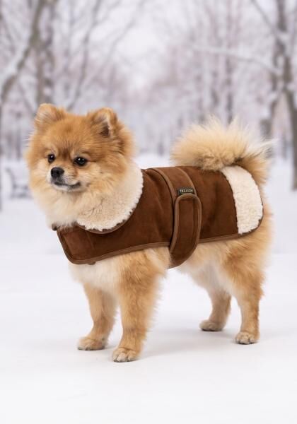 Lammfell Hundemantel mit Klettverschluss Modell 7