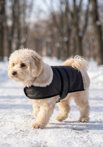Lammfell Hundemantel mit Klettverschluss Modell 3