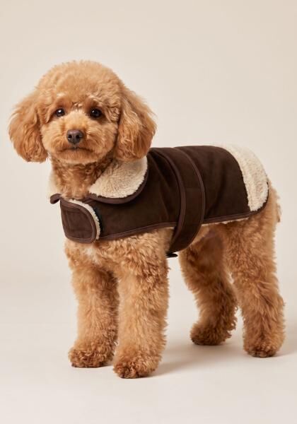 Lammfell Hundemantel mit Klettverschluss Modell 16