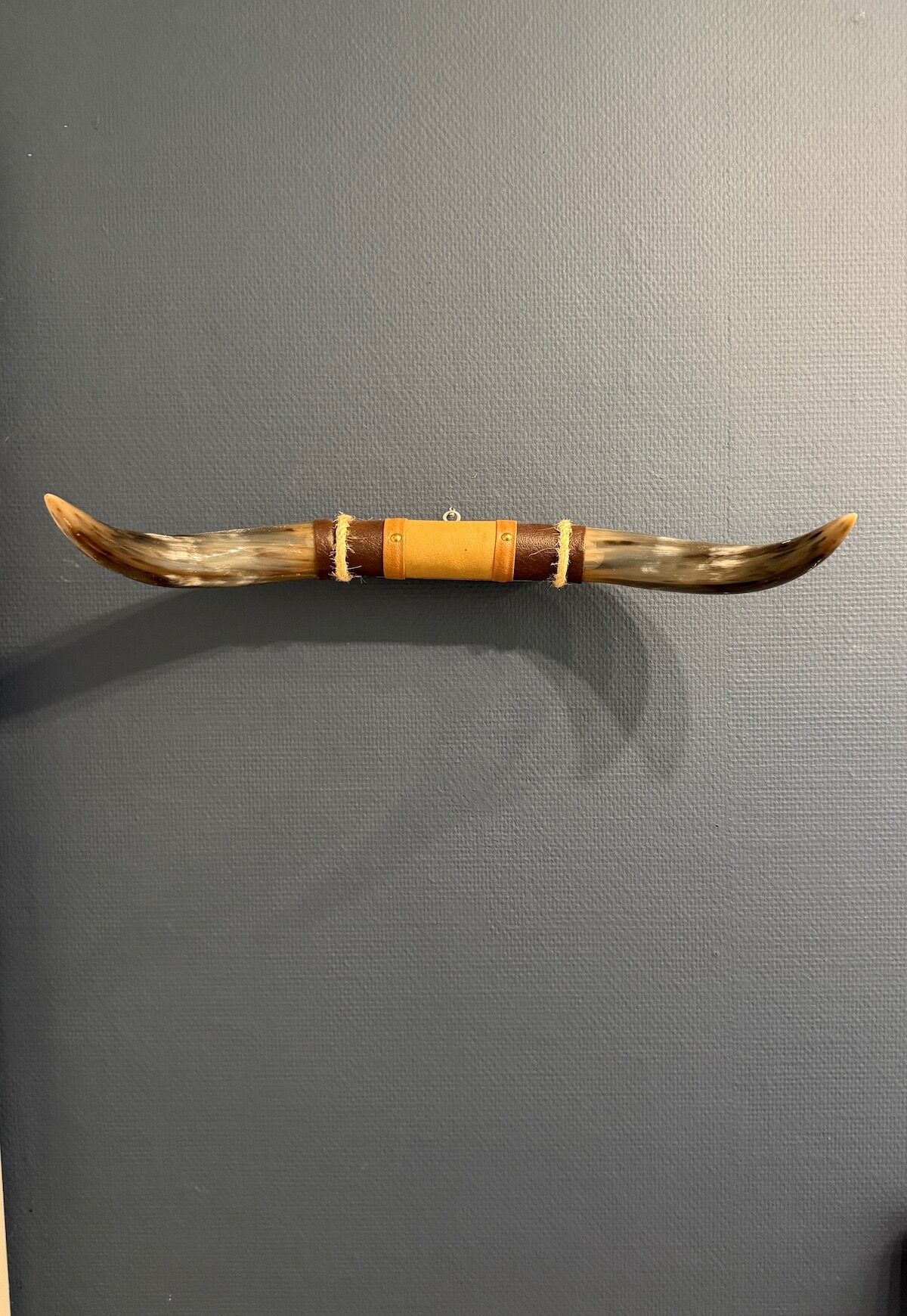 Bullenhorn Wandobjekt Modell 4 - Naturhorn Einzelstück mit Leder & Holzhalterung