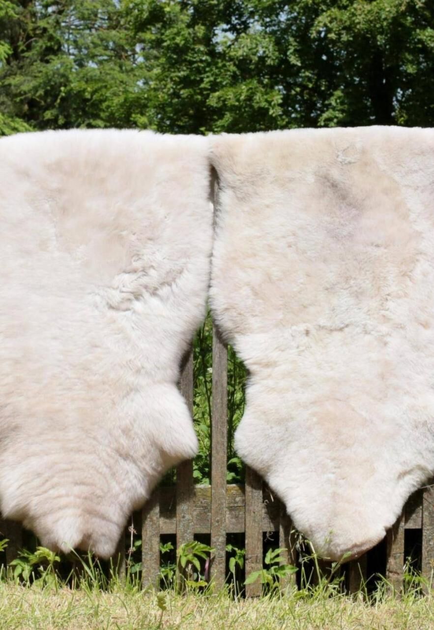 Lammfell Creme Beige gescheckt 100-110 cm -