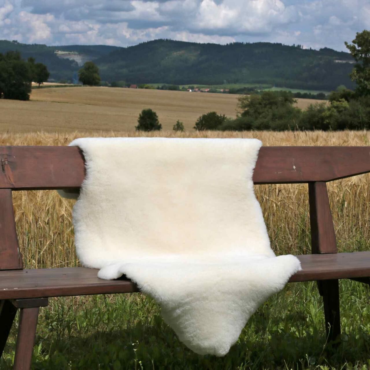 Lammfell Champagner Kurzhaar Wollhöhe 3-4 cm - Größe: 140-150