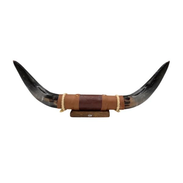 Bullenhorn Wandobjekt Modell 12 - Naturhorn Einzelstück mit Leder & Holzhalterung