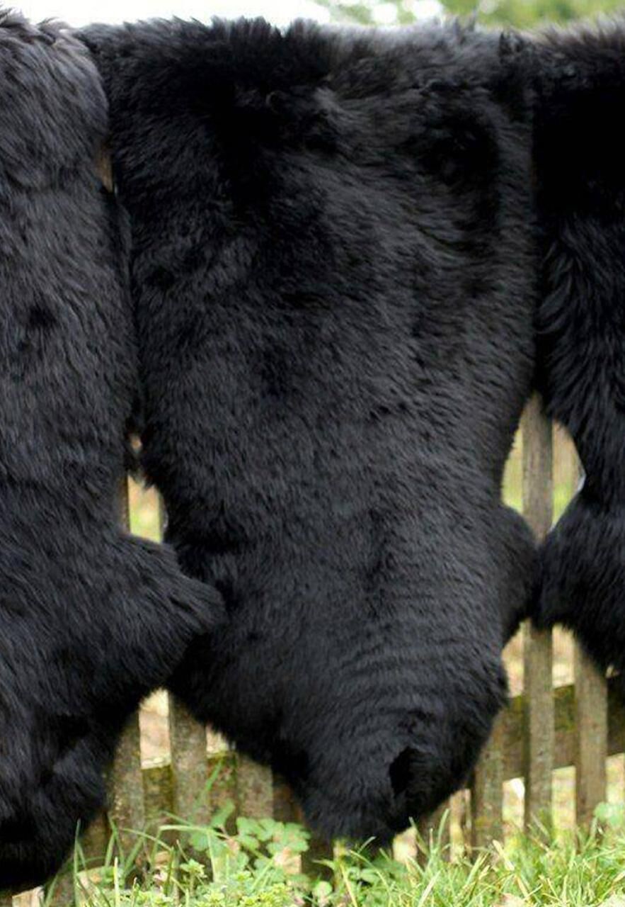 Lammfell Schwarz und Grau Töne - Farbe: Schwarz | Größe: 130-140