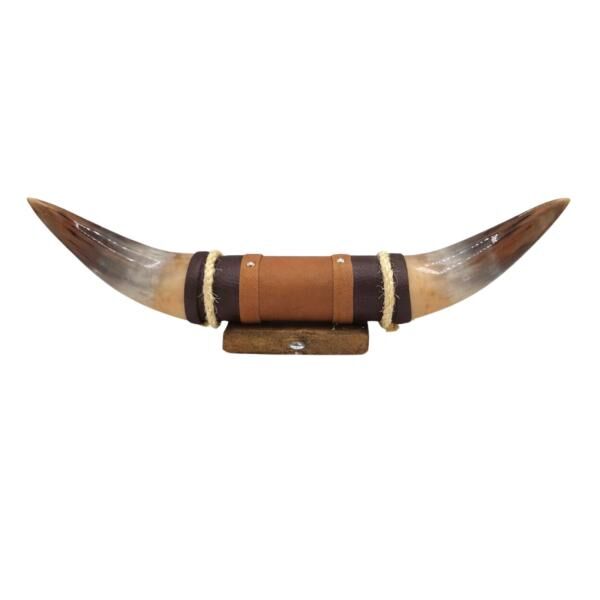 Bullenhorn Wandobjekt Modell 13 - Naturhorn Einzelstück mit Leder & Holzhalterung