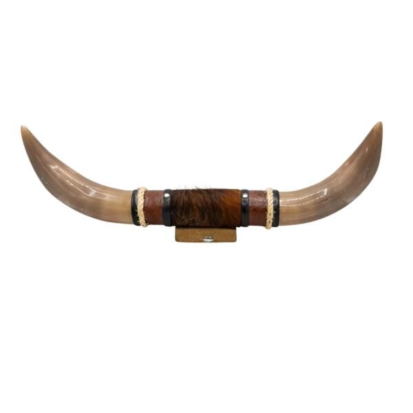 Bullenhorn Wandobjekt Modell 10 - Naturhorn Einzelstück mit Leder & Holzhalterung